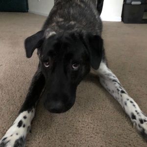 Meet your Posher, Nancy